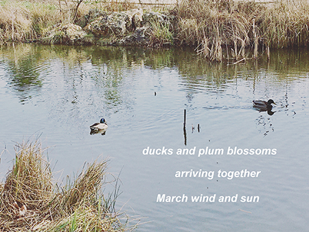 March 2021 Haiku